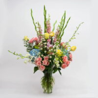 shop spring vase